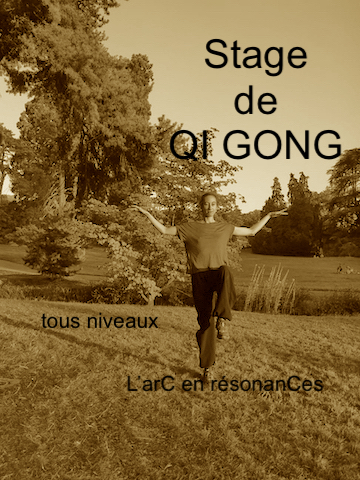 Stage de Qi Gong à Genève en mai: 2 ateliers